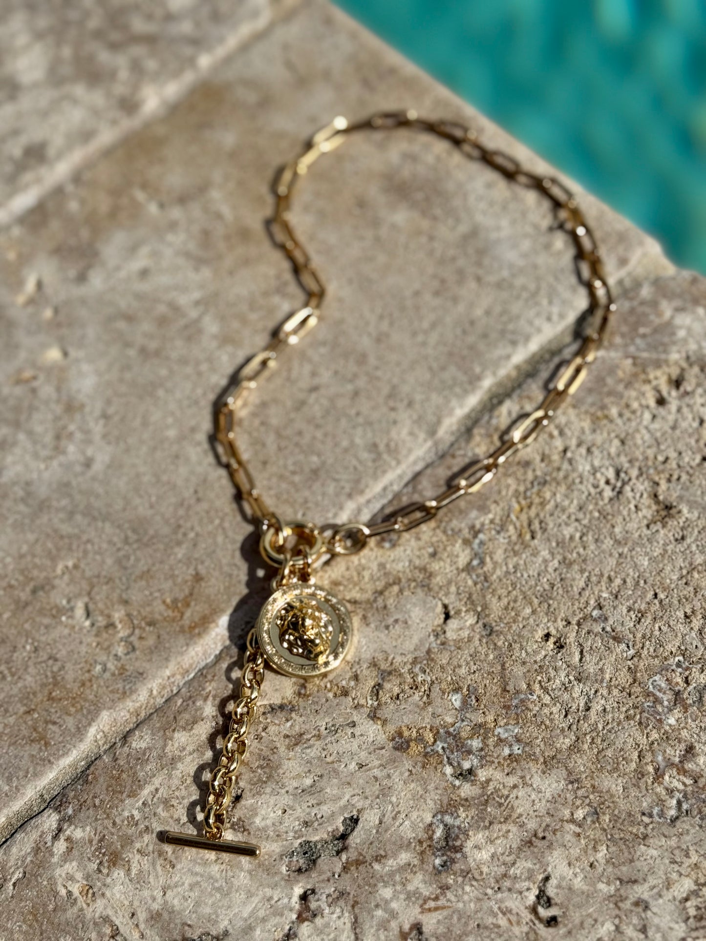 Lion Head Charm Necklace