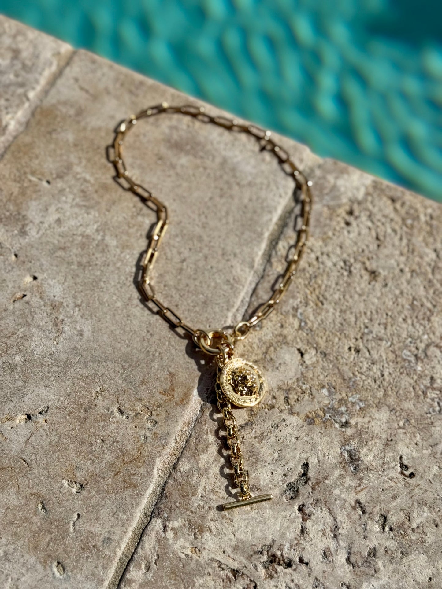 Lion Head Charm Necklace