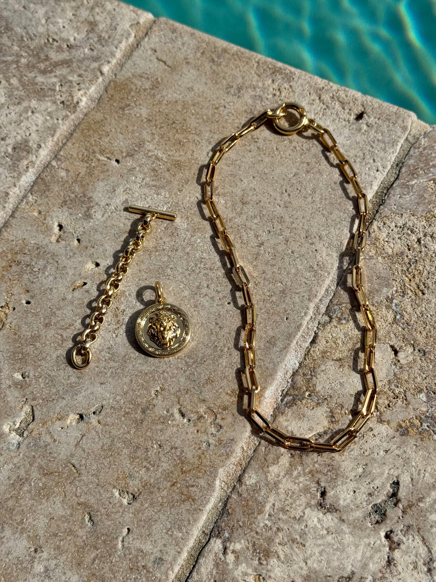 Lion Head Charm Necklace
