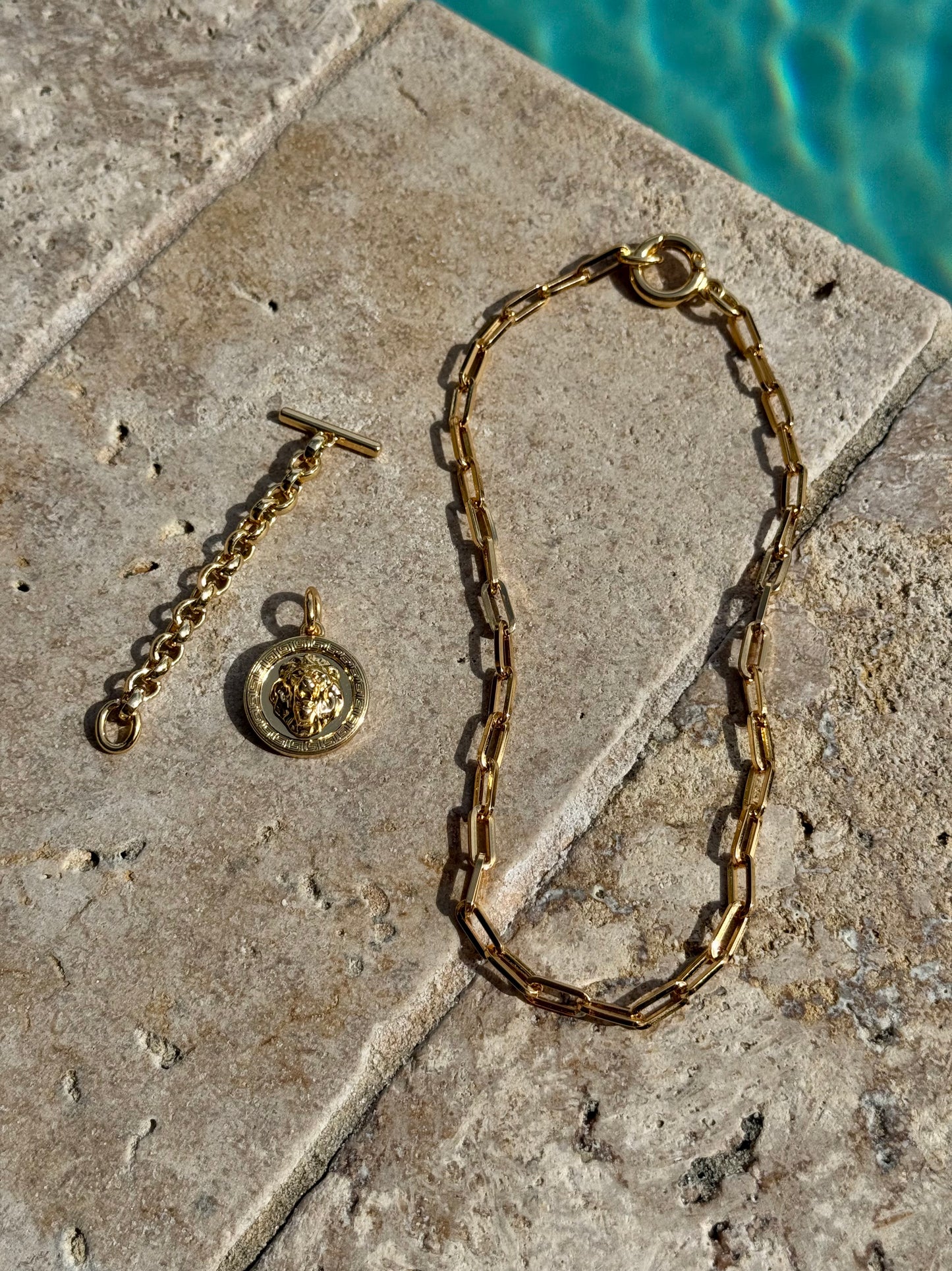 Lion Head Charm Necklace