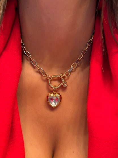 Mixed Love Horseshoe Necklace