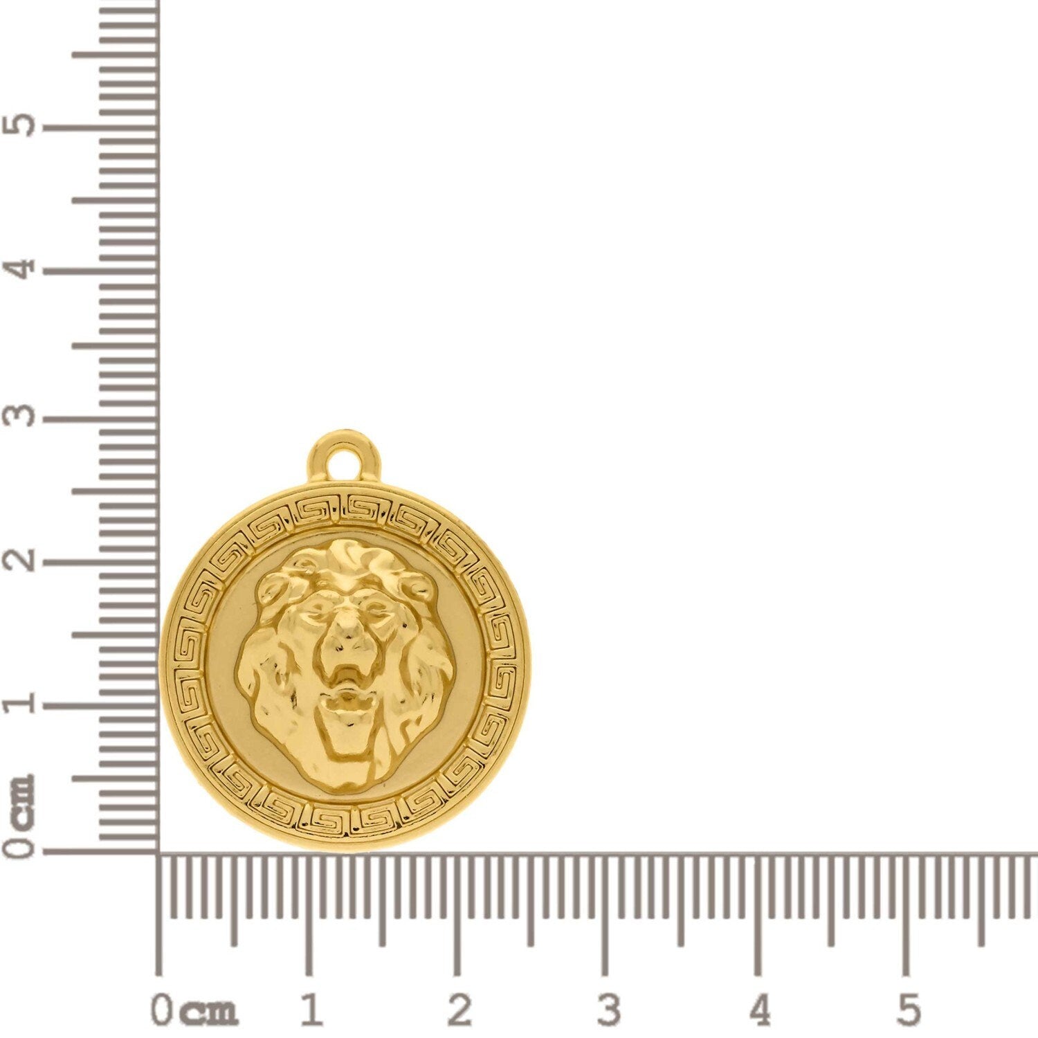 Lion Head Coin Charm 29mm | Charms for Sale