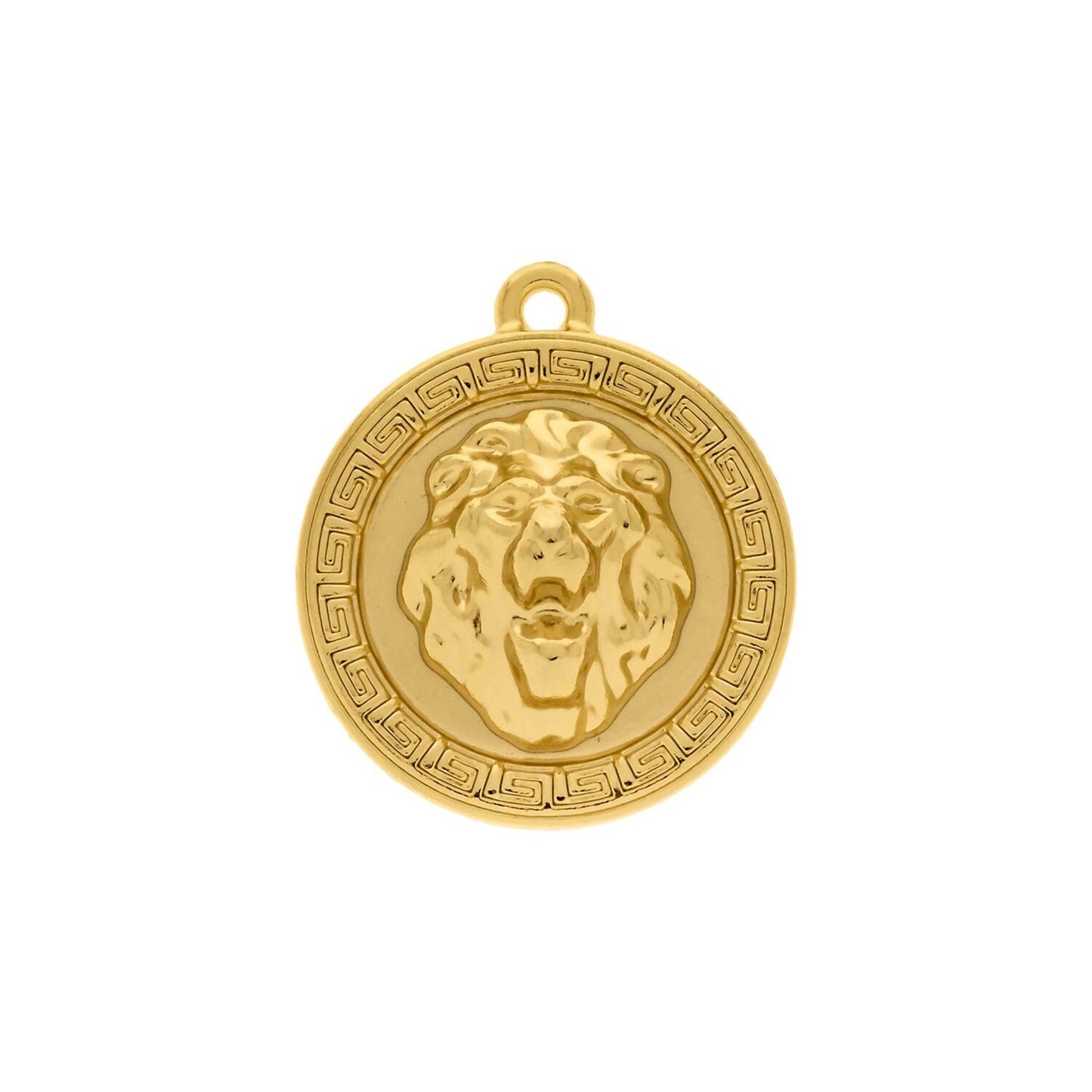 Lion Head Coin Charm 29mm | Charms for Sale