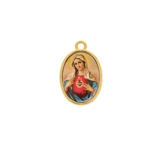 23mm Sacred Heart of Mary Charm