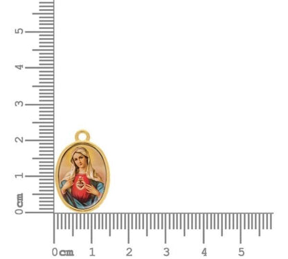 23mm Sacred Heart of Mary Charm
