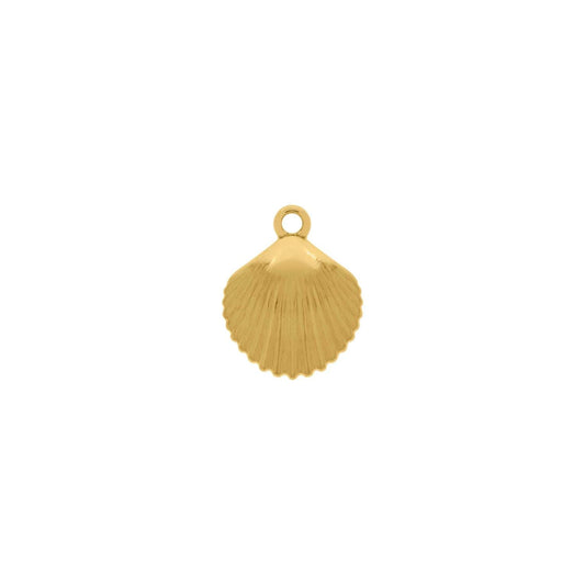19mm Gold Shell